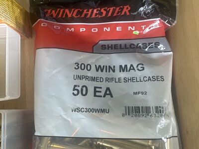 Misc. 300 Win Mag Ammo/ Components
