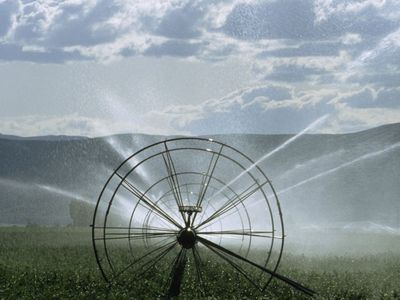 Buyer Pending… Bear River Canal Water Shares 24 total