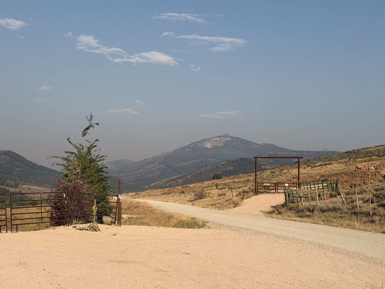 Main image 9