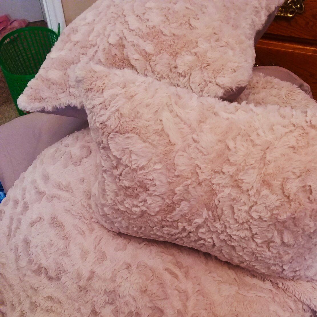 PLUSH COMFORTER,  2 SHAMS. 2 PILLOWS..FULL/QUEEN