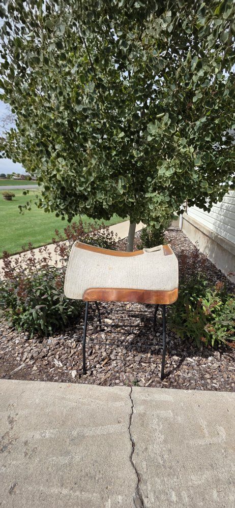5 star saddle pads