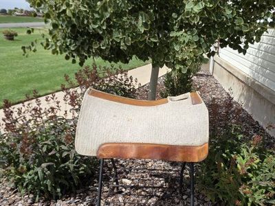 5 star saddle pads