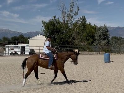 Reserve World Champion Mare Available for Sale or Onsite Care Lease