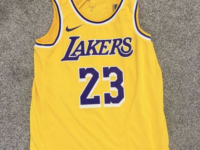 Nike NBA Los Angeles Lakers LeBron James #23 Icon Edition Jersey Size M