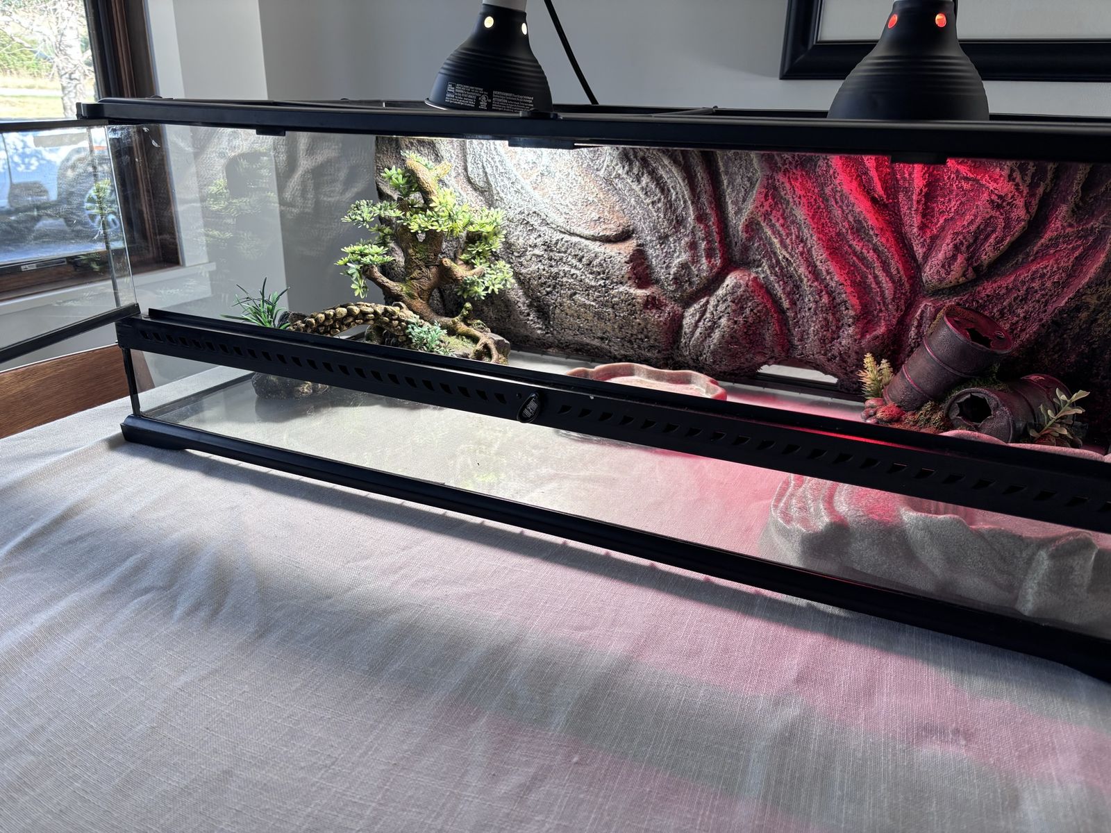 Complete Reptile Enclosure Setup – Ready to Use