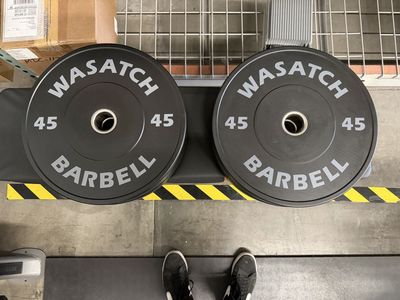Wasatch Super Bumper 45lb plates