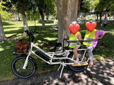 RadWagon 4 Electric Cargo Bike from RadPower Bikes