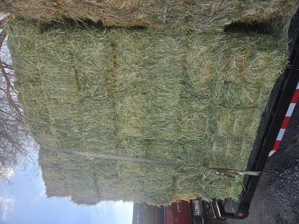 3 string small bales alfalfa/orchard grass Mix