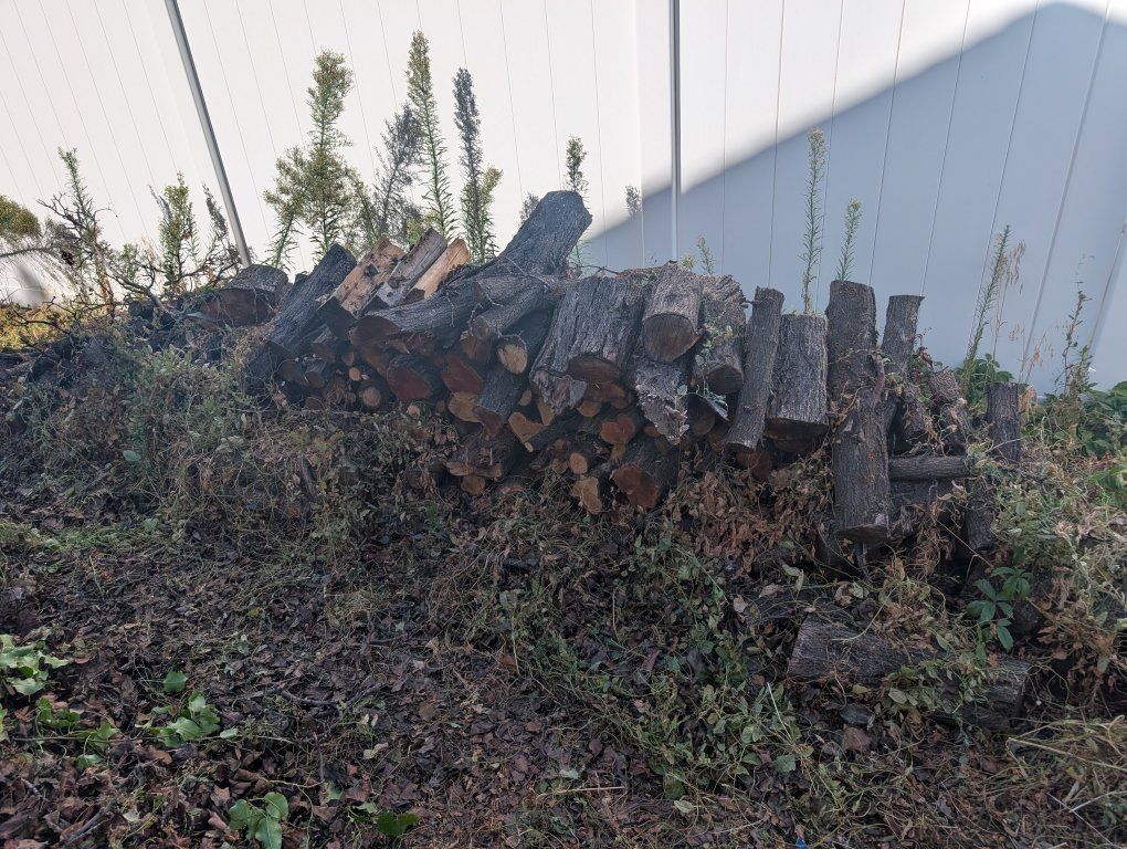 Stacked Firewood Logs for Heating and Outdoor Use