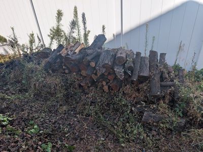 Stacked Firewood Logs for Heating and Outdoor Use