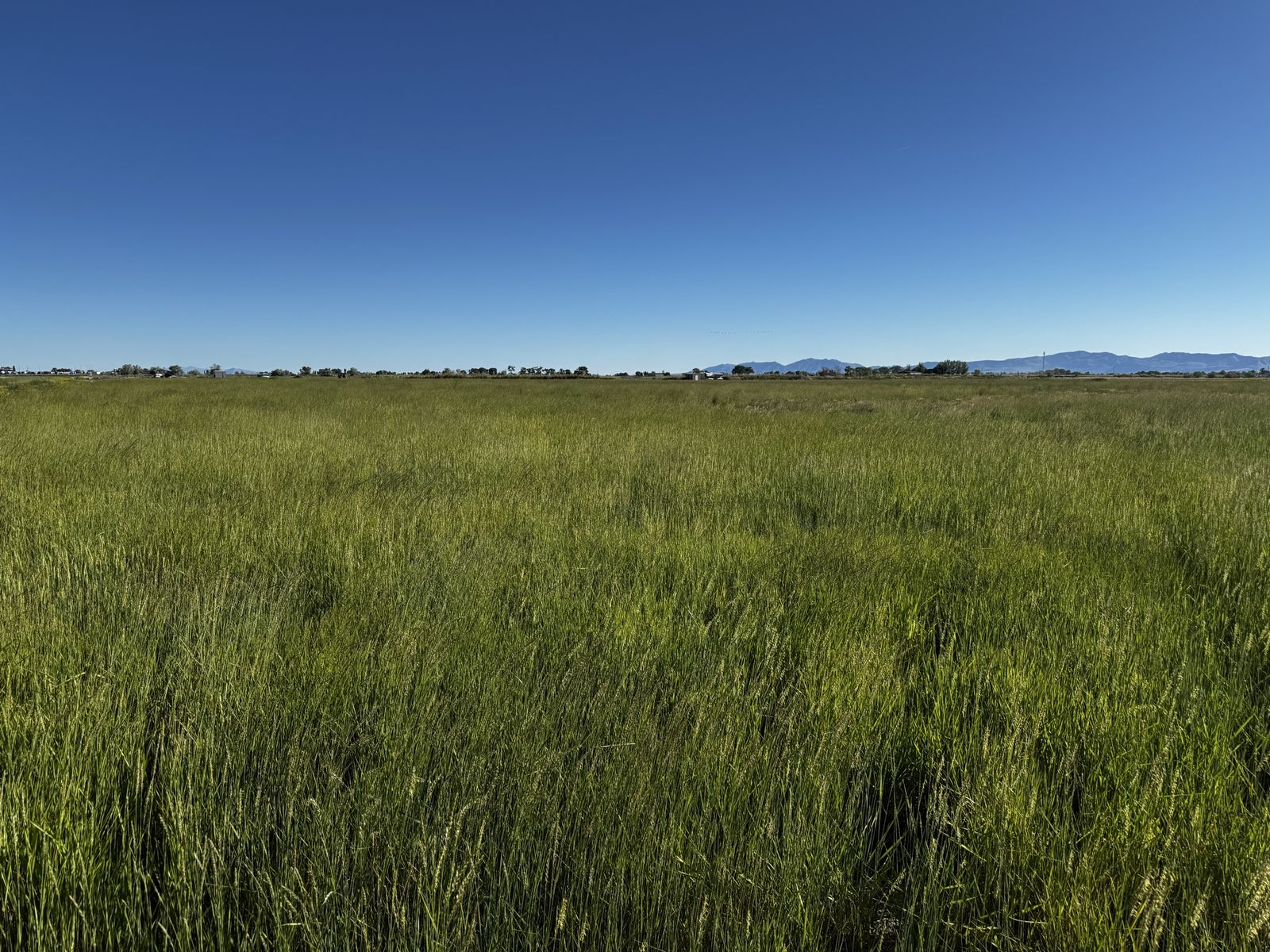 Main image 11
