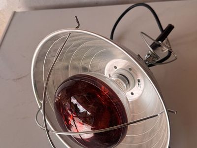 Brooder Heat Lamp Model with Bulb 120V