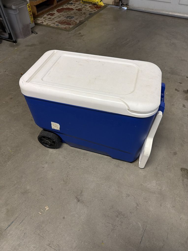 Igloo Cooler