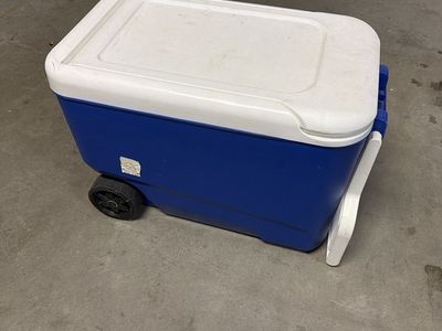 Igloo Cooler