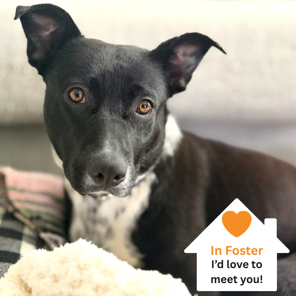 Hello my name is Minnie