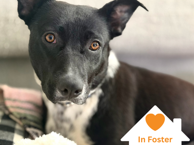 Hello my name is Minnie