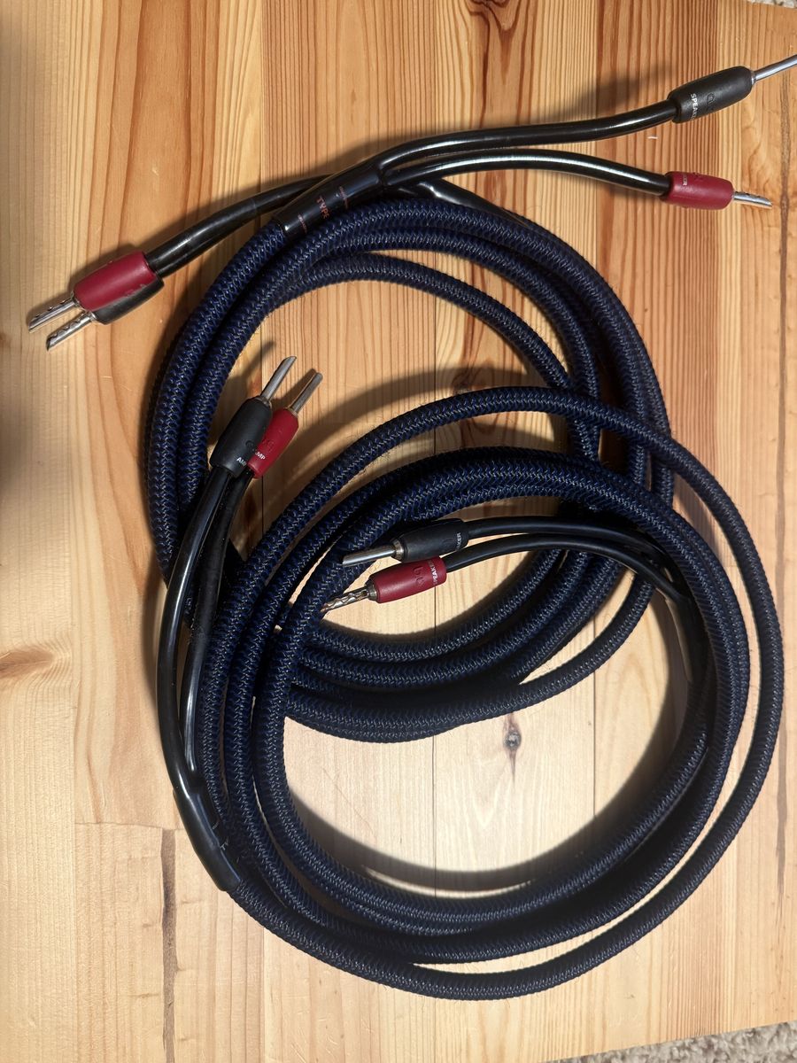 AudioQuest Type 4 Speaker Cables - 10 ft Pair, Full-Range with Silver Banana Plugs