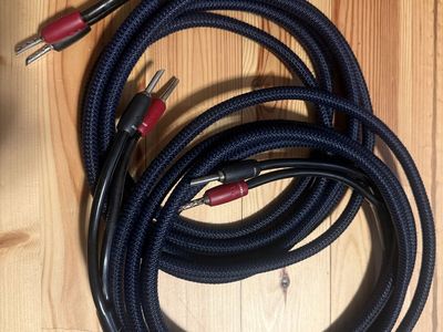 AudioQuest Type 4 Speaker Cables - 10 ft Pair, Full-Range with Silver Banana Plugs
