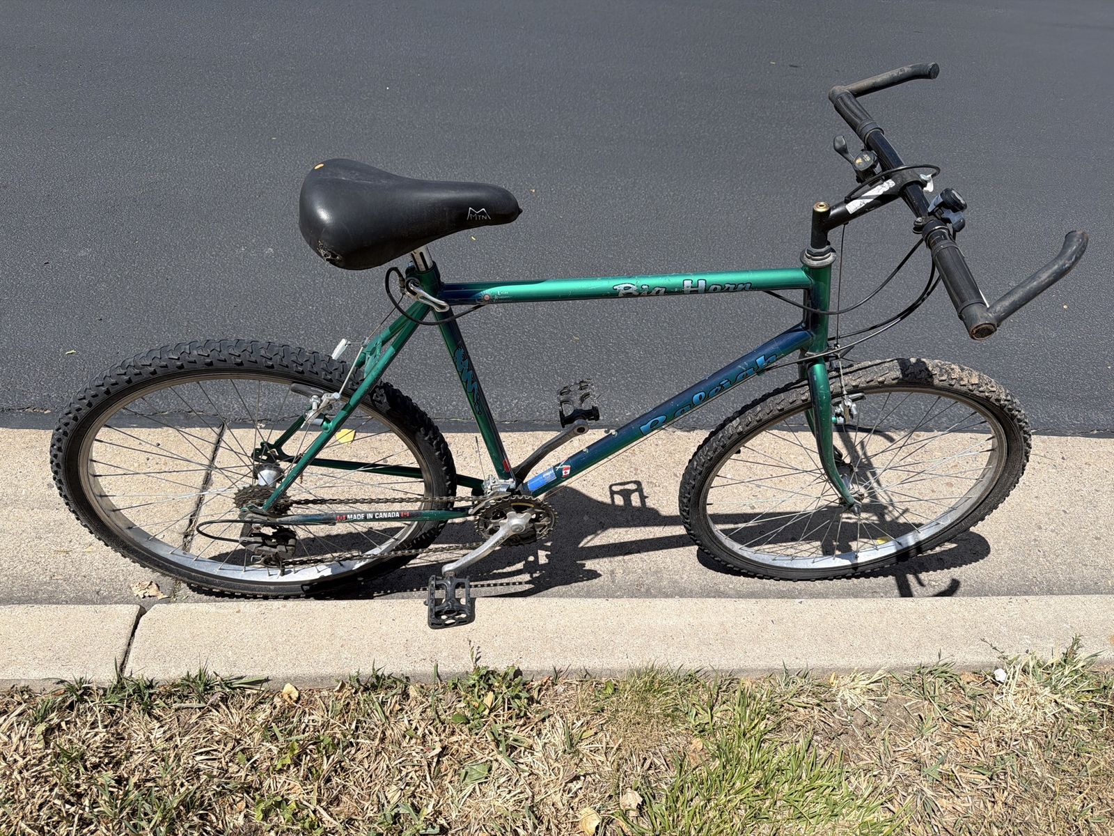 Raleigh Big Horn Vintage Mountain Bike - Green, Made in Canada