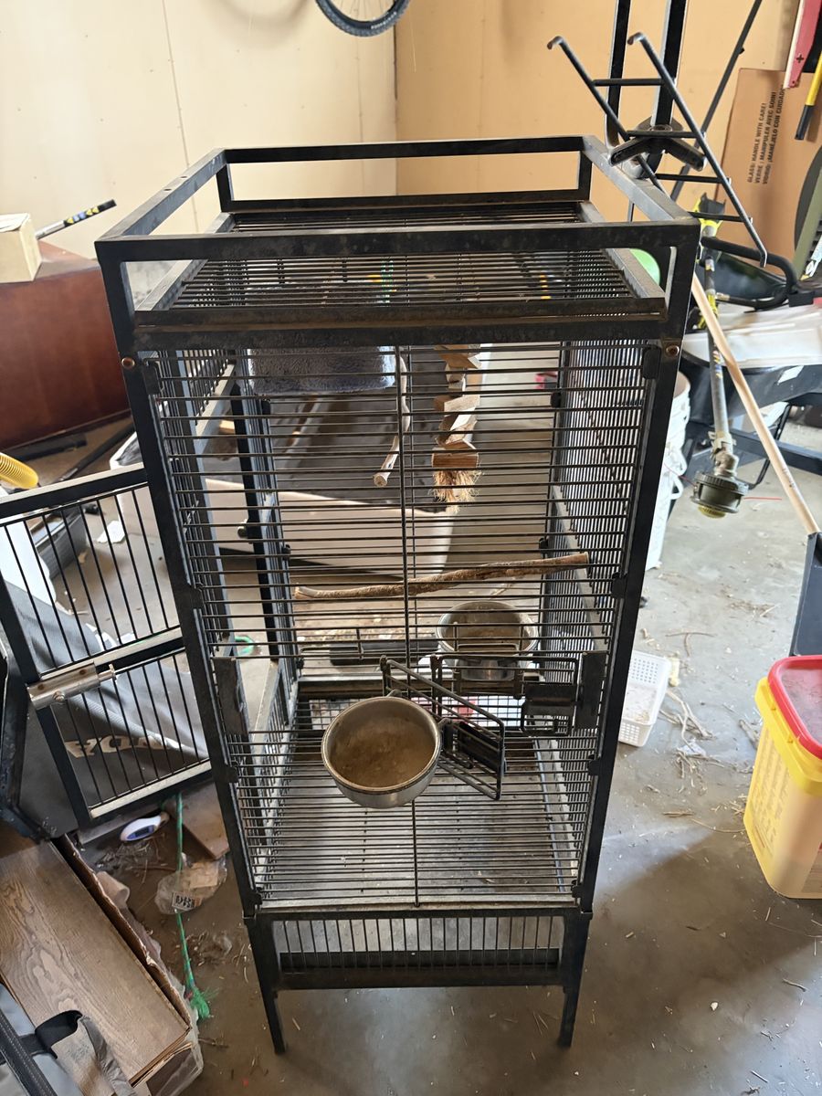 Large Wrought Iron Standing Bird Cage with Play Top and Feed Bowls
