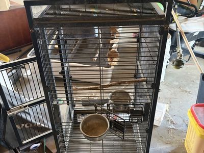 Large Wrought Iron Standing Bird Cage with Play Top and Feed Bowls