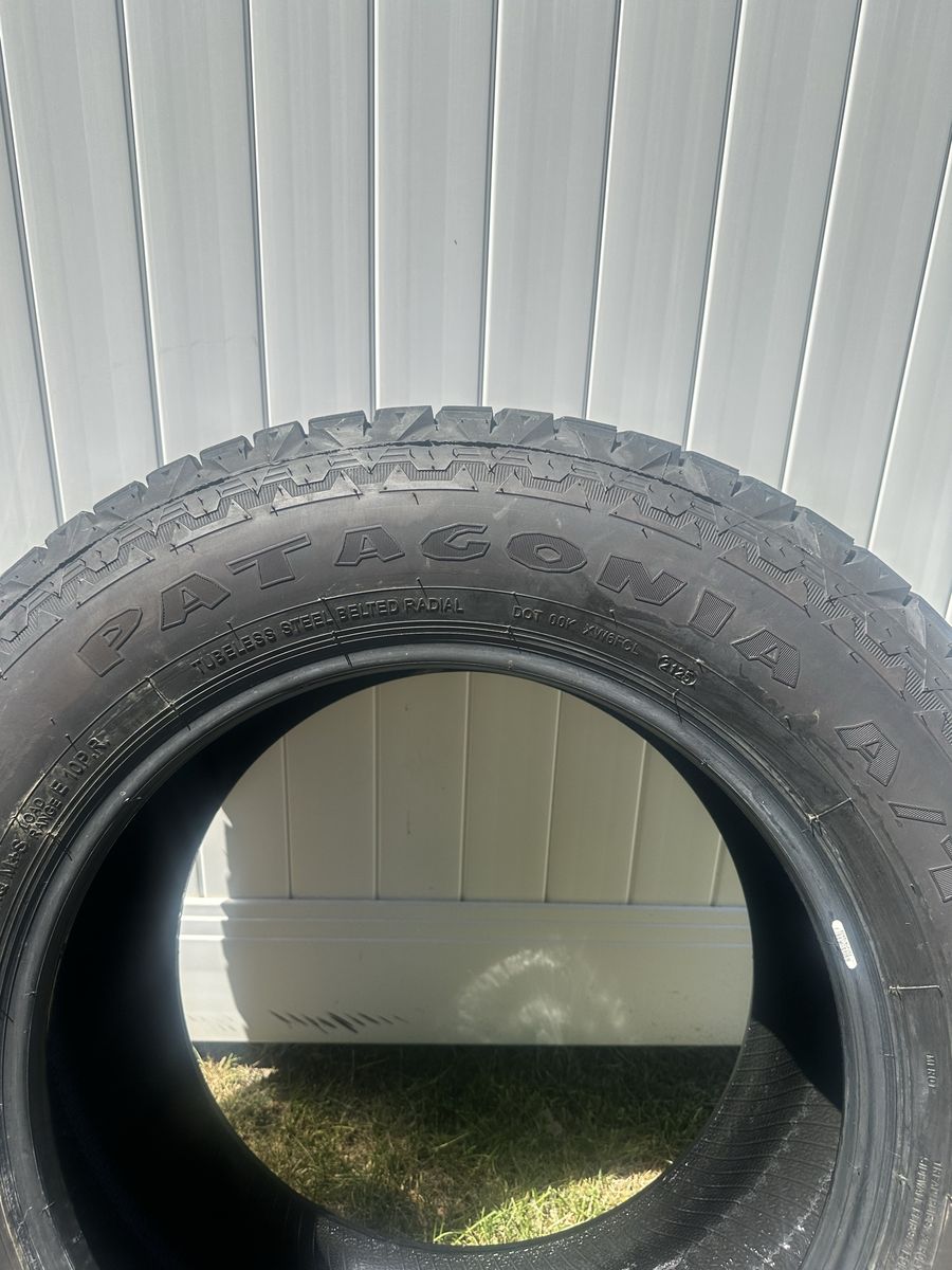 Patagonia Milestar 35x12.50R20LT All-Terrain Radial Tire