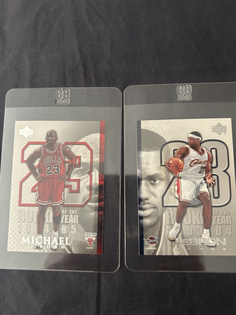 Micheal Jordan LeBron James Combo