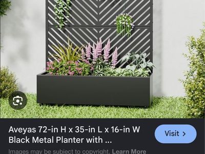 Aveyas 72" H Black Metal Planter with Trellis - New Condition