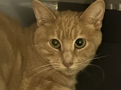 Hello my name is Elliot