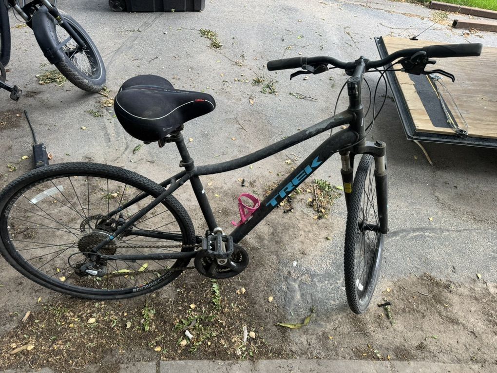 Trek Dual Sport Womens Bike - 18
