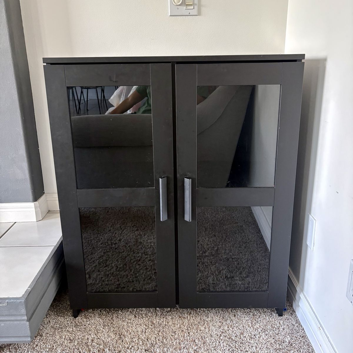 Black Storage Cabinet with Glass Doors and Shelves