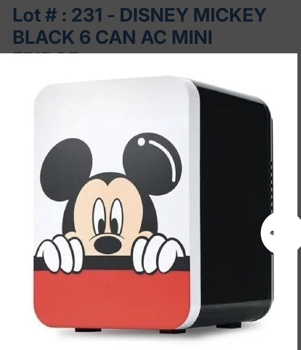Mini Mickey Fridge