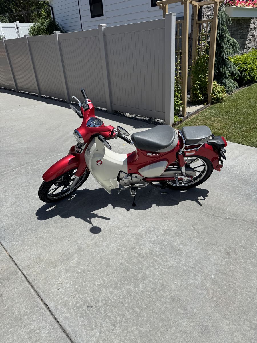 Super Clean Supercub