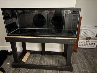 75 gallon with stand