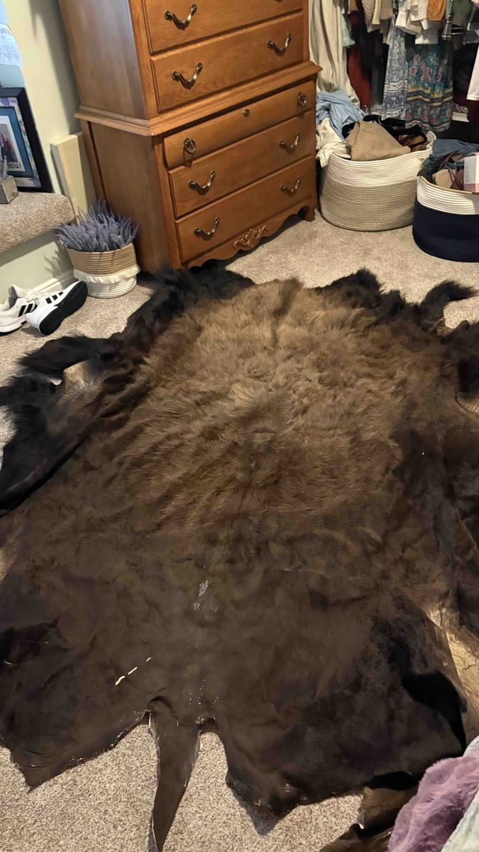 Tanned Bison hide
