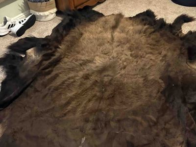 Tanned Bison hide