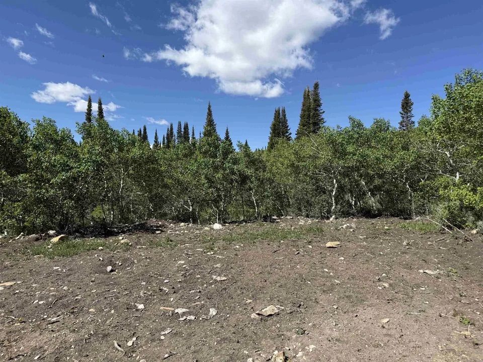 Main image 15