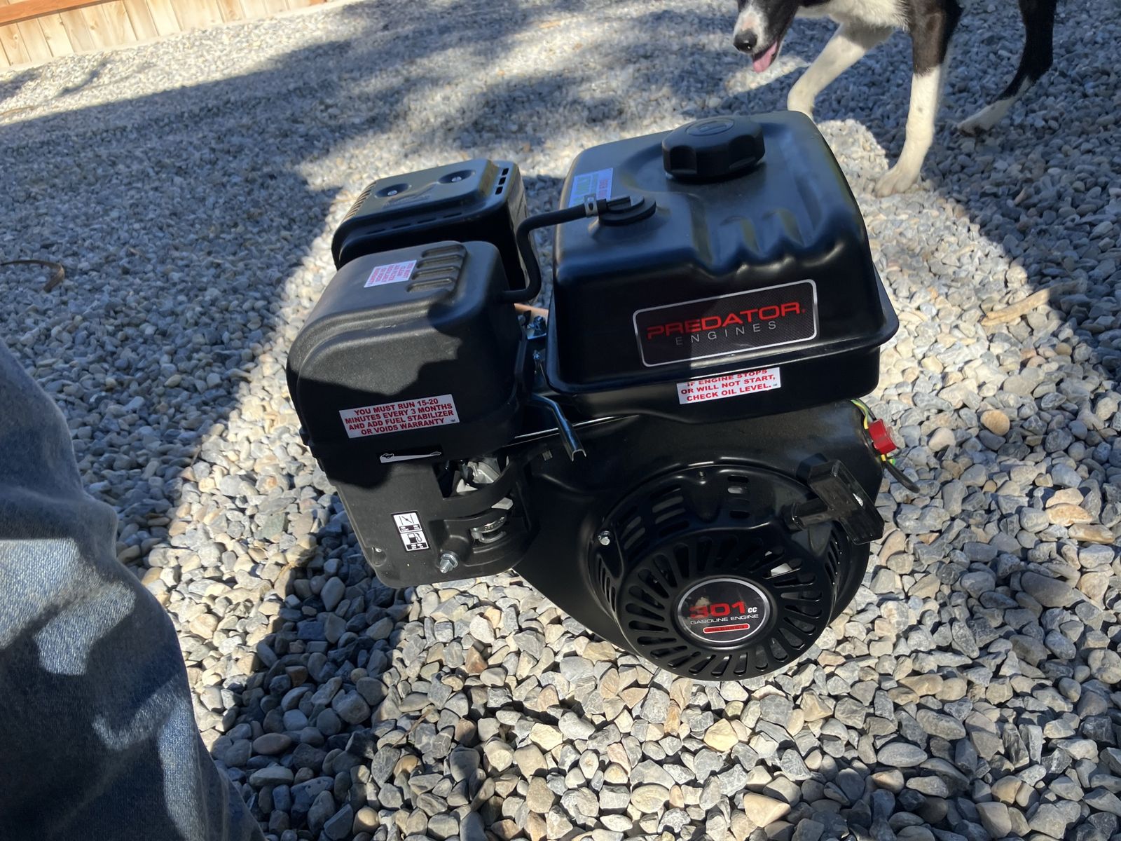 301 predator motor with clutch and more