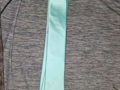 Mint Green Satin Necktie - Men's Regular Width Tie