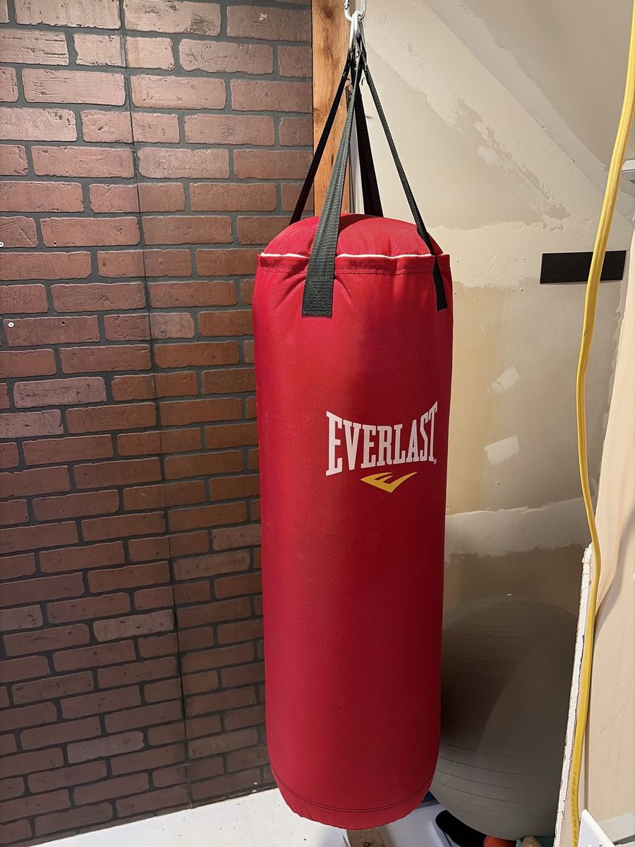 Everlast Red Punching Bag