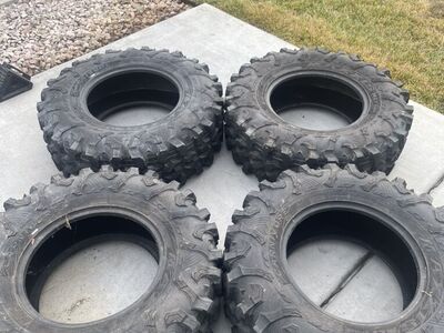 Maxxis Carnivore 31X10XR15