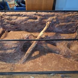 Custom Reptile Enclosure