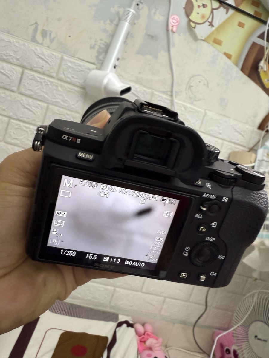 Main image 9