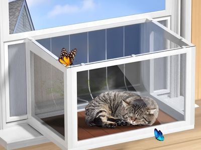 NEW Cat Window Box Catio, Outdoor Indoor Cat Enclosure with Clear Panels, Mesh Sides & PVC Curtain