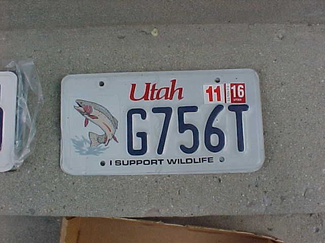 Utah single trout license plate