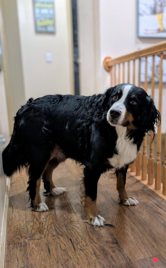 Main image 5