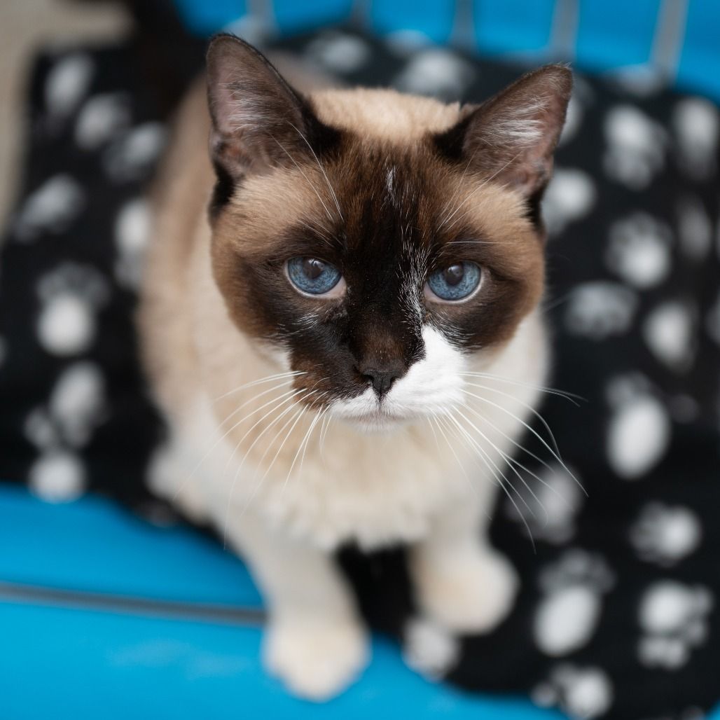 Hello my name is Alaia