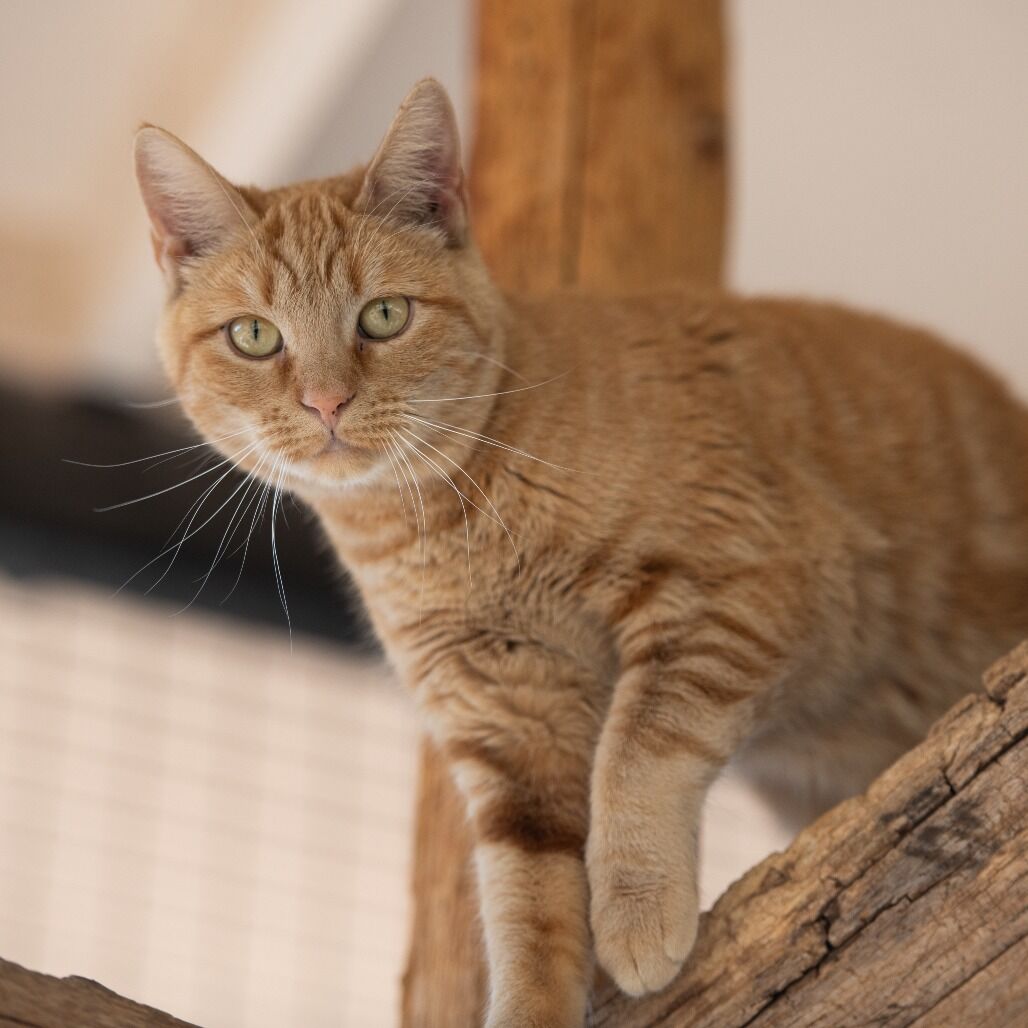 Hello my name is Catlina