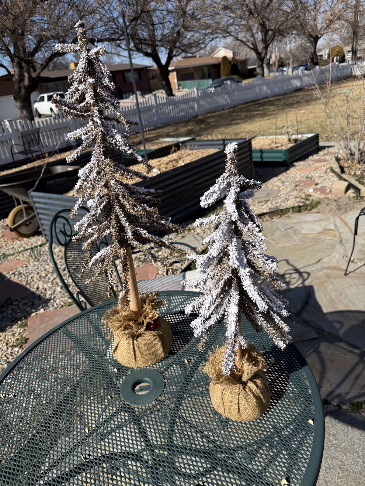 Miniature Christmas trees