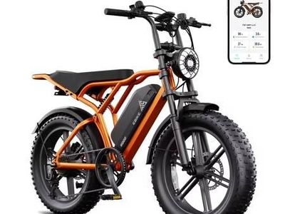 TST Electric Bike 750W Peak 20 Fat Tire UL2849